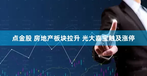 点金股 房地产板块拉升 光大嘉宝触及涨停