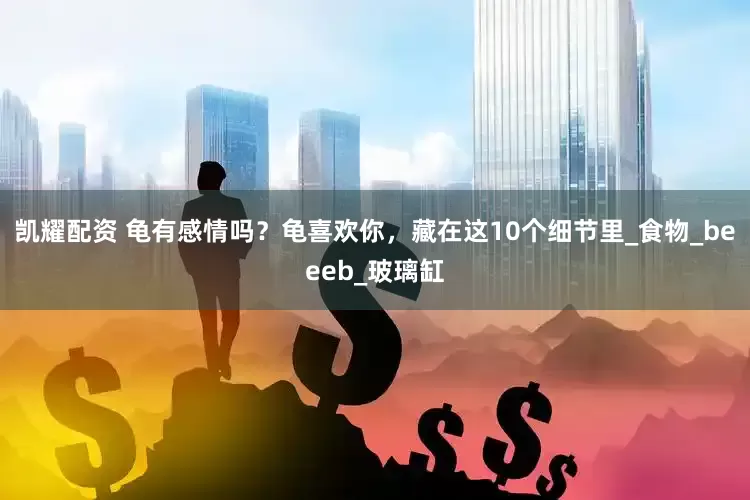 凯耀配资 龟有感情吗？龟喜欢你，藏在这10个细节里_食物_beeeb_玻璃缸