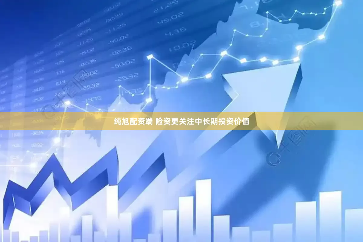 纯旭配资端 险资更关注中长期投资价值