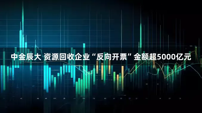 中金辰大 资源回收企业“反向开票”金额超5000亿元