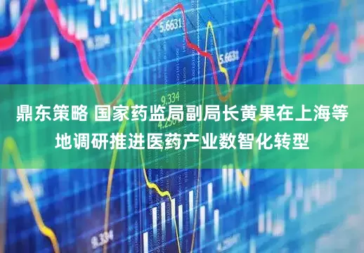 鼎东策略 国家药监局副局长黄果在上海等地调研推进医药产业数智化转型