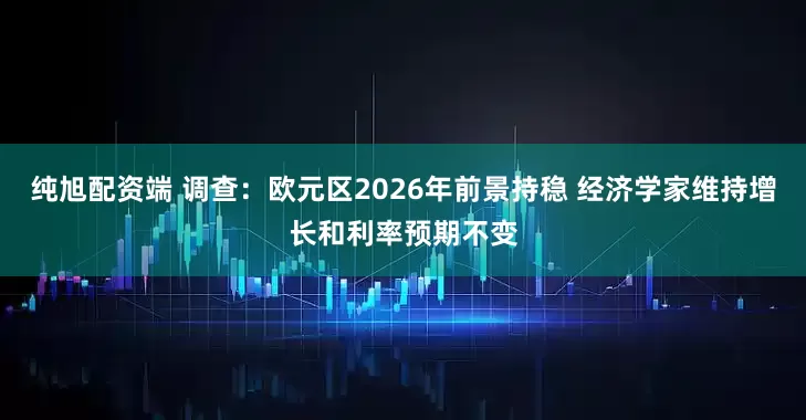 纯旭配资端 调查：欧元区2026年前景持稳 经济学家维持增长和利率预期不变